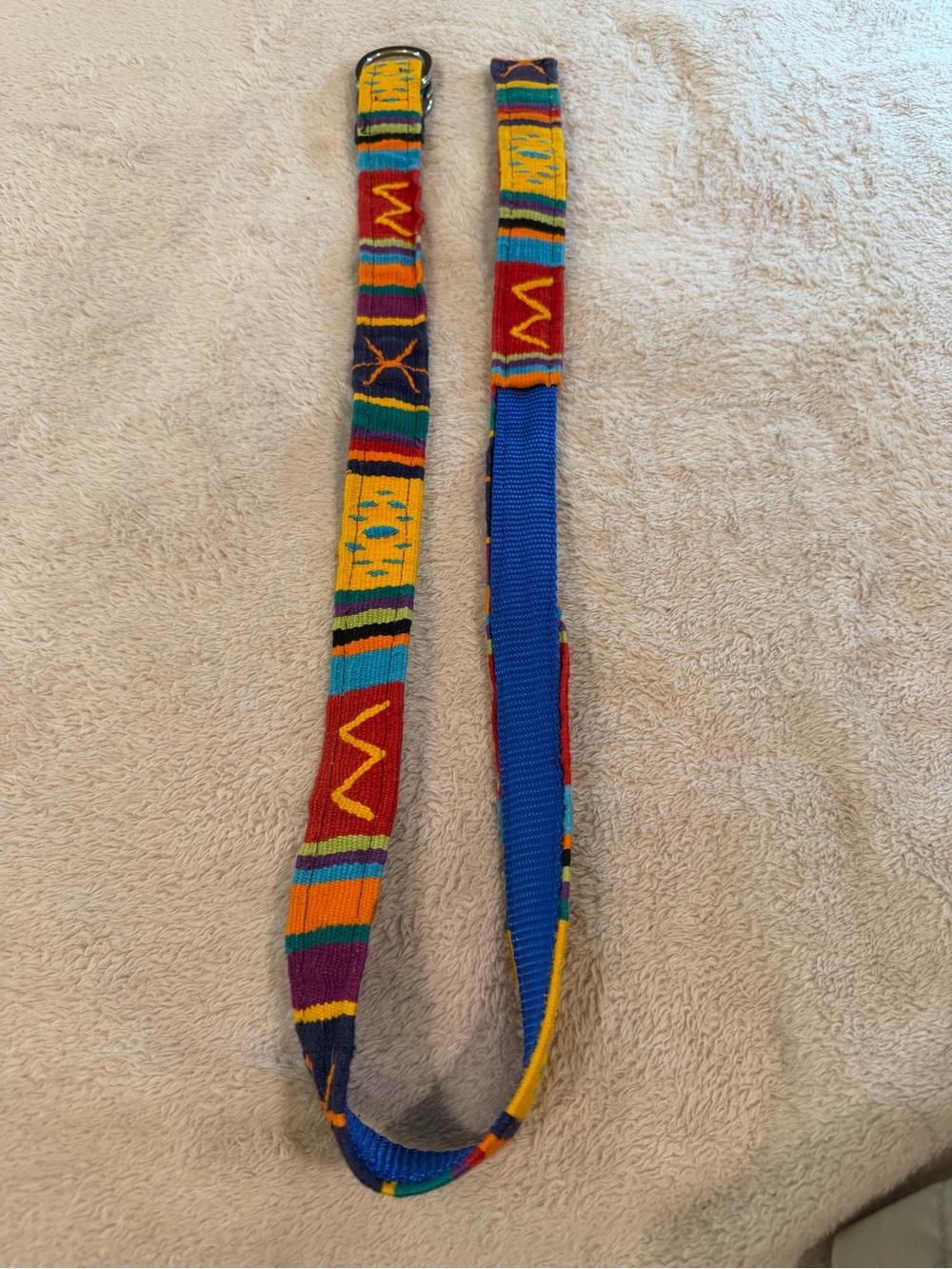 A Tail We Could Wag Colorful Woven Multicolor Belt